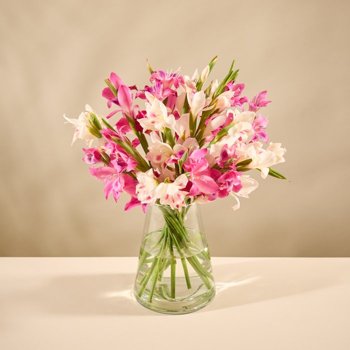 The Glamini Letterbox Moonpig